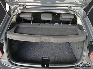 Volkswagen Polo United 1.0TSI AppConnect Sitzhzg Parkpilot 