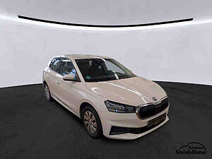 SKODA Fabia Active 1.0MPI LED Sitzhzg. Parkpilot 