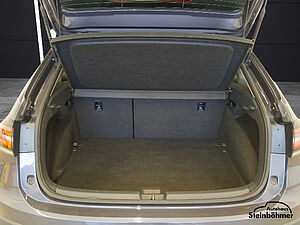 Volkswagen Taigo Goal 1.0TSI LED NAV SHZ ACC AppCon