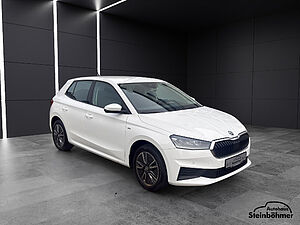 SKODA Fabia Ambition Tour 1.0TSI Navi LED Sitzhzg 